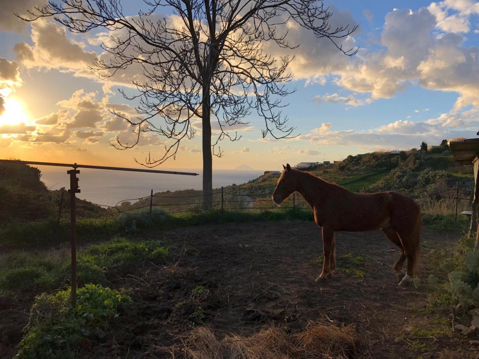 Agriturismo U Zu Peppino Lipari  Eksteriør bilde