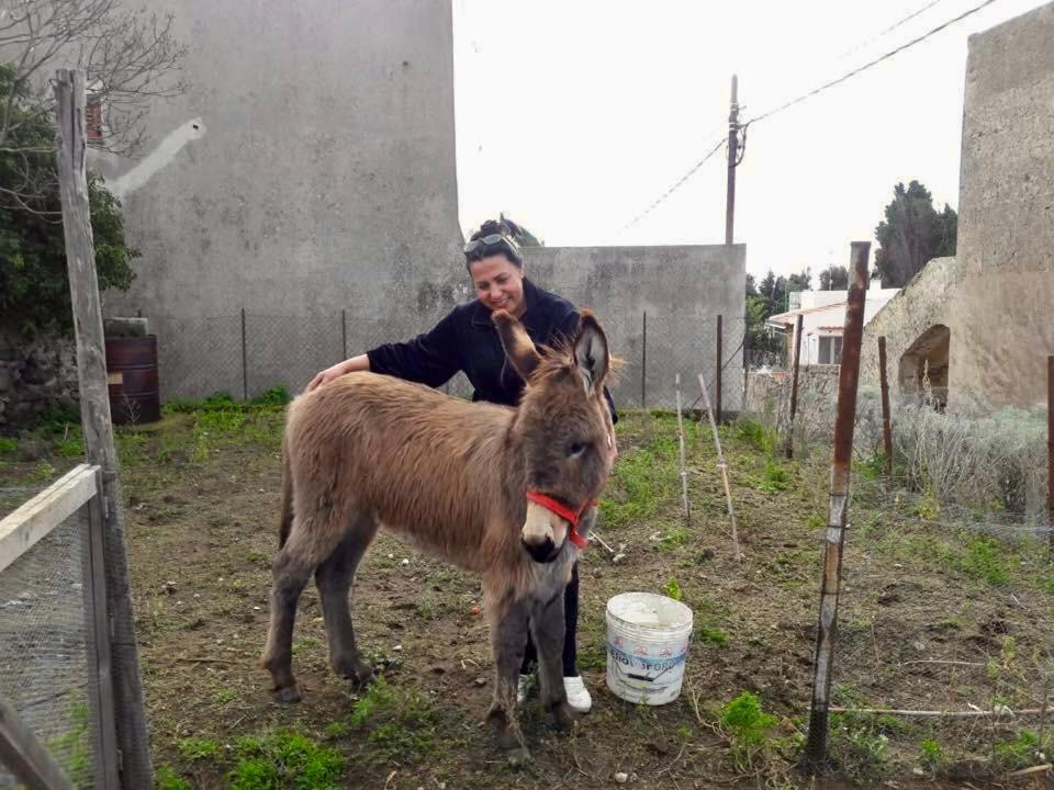 Agriturismo U Zu Peppino Lipari  Eksteriør bilde