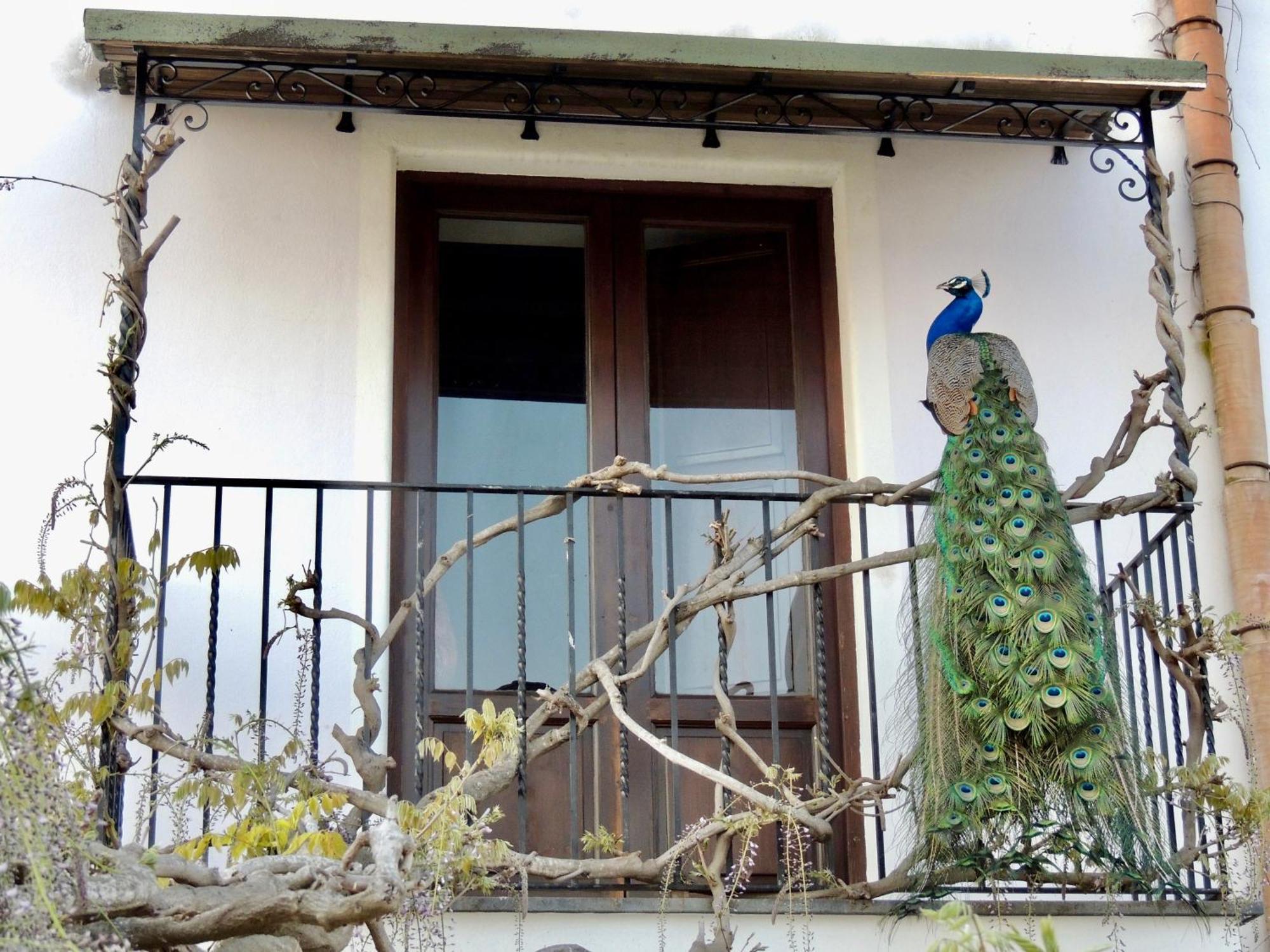 Agriturismo U Zu Peppino Lipari  Eksteriør bilde